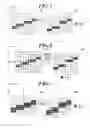 Fig. 04 - IMAGE PROCESSING APPARATUS, IMAGE FORMING APPARATUS, IMAGE GENERATING METHOD, AND MEDIUM