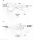 Fig. 01 - Method for transforming mapping data associated with different view planes into an arbitrary view plane