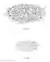 Fig. 02 - MULTIDIMENSIONAL LABEL HAVING A SHAPE INDICATIVE MARKER