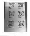 Fig. 04 - MULTIDIMENSIONAL LABEL HAVING A SHAPE INDICATIVE MARKER