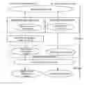 Fig. 01 - Method for driving display device