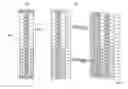 Fig. 01 - Semiconductor device having dummy cell region that are symmetrically disposed about peripheral region
