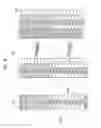 Fig. 09 - Semiconductor device having dummy cell region that are symmetrically disposed about peripheral region