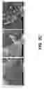 Fig. 04 - Graphene-nano particle composite having nanoparticles crystallized therein at a high density