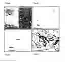 Fig. 05 - Forming conductive portions in insulating materials matreials using an ion beam