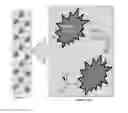 Fig. 01 - BREAKDOWN INHIBITORS FOR ELECTROCHEMICAL CELLS
