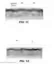 Fig. 11 - Method for depositing extremely low resistivity tungsten