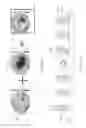 Fig. 07 - Uniformity in wafer patterning using feedback control