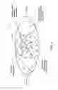Fig. 04 - Power source for an accommodating intraocular lens