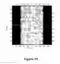 Fig. 16 - Linear Condensation Assembly and Manufacturing Process Thereof