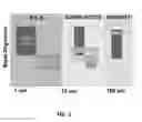 Fig. 06 - AVALANCHE PHOTODIODE UTILIZING INTERFACIAL MISFIT ARRAY