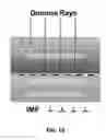 Fig. 17 - AVALANCHE PHOTODIODE UTILIZING INTERFACIAL MISFIT ARRAY
