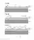Fig. 07 - Semiconductor light emitting element