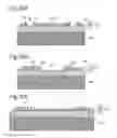 Fig. 43 - Semiconductor light emitting element