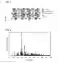 Fig. 02 - Fluorophore, method for producing same, light-emitting device using fluorophore, image display device, pigment, and ultraviolet absorbent