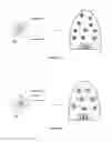 Fig. 05 - Semiconductor nanoparticle-based materials