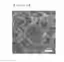 Fig. 07 - TWO-DIMENSIONAL ZINC-OXIDE NANOSHEET-BASED POWER GENERATION DEVICE AND METHOD OF FABRICATING THE SAME