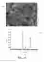 Fig. 19 - Nickel complexes for flexible transistors and inverters
