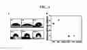 Fig. 04 - Inverted organic electronic device and method for manufacturing the same