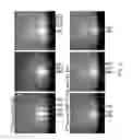 Fig. 05 - Ordered organic-organic multilayer growth