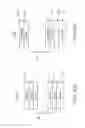 Fig. 09 - Ordered organic-organic multilayer growth