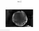 Fig. 07 - Negative active material for lithium secondary battery, method for preparing the same, negative electrode comprising the same, and lithium secondary battery comprising same