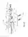 Fig. 20 - Brush holder apparatus, brush assembly, and method