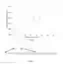 Fig. 12 - Quantum dot SOA-silicon external cavity multi-wavelength laser