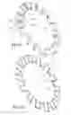 Fig. 07 - Winding for a stator element of an electromagnetic motor or generator, comprising at least one single-component, rigid limb, and method for producing same