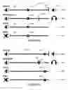 Fig. 09 - Volume interactions for connected playback devices