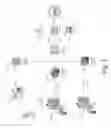 Fig. 03 - Highly efficient and parallel data transfer and display