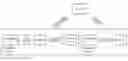Fig. 01 - Integration of user interfaces for different physically distributed medical applications