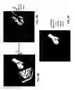 Fig. 09 - Task light based system and gesture control