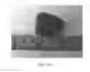 Fig. 07 - Raspberry plant named 'Sapphire'