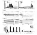 Fig. 02 - Method for protecting plants from stress and senescence