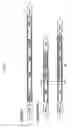 Fig. 02 - RECOMBINANT ALSV FOR PREVENTING PATHOGENIC VIRAL INFECTION OF PLANT