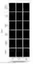 Fig. 22 - RECOMBINANT ALSV FOR PREVENTING PATHOGENIC VIRAL INFECTION OF PLANT