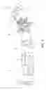 Fig. 04 - Herbal smoking blend