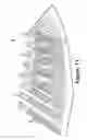 Fig. 19 - Footwear incorporating angled tensile strand elements