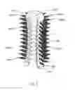 Fig. 08 - Hairbrush
