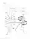 Fig. 07 - HYGIENIC HANDLE MADE FROM A STICKER BLANK