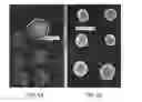 Fig. 06 - Analyte sensors comprising leveling agents