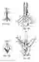 Fig. 09 - INDEPENDENT GRIPPER