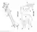 Fig. 43 - Spinal stabilization system