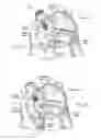 Fig. 08 - Devices, systems, and methods for reshaping a heart valve annulus