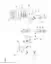 Fig. 02 - Ophthalmic laser surgery apparatus and program of creating control data for ophthalmic surgery
