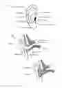 Fig. 02 - PRE-LUBRICATED EARPLUGS AND THE METHOD OF PRODUCTION THEREOF