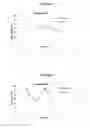 Fig. 02 - METHODS AND COMPOSITIONS FOR ENHANCING THE VIABILITY OF MICRONEEDLE PORES