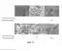 Fig. 35 - Method for treating virus infection using derivative of aniline