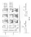 Fig. 09 - Methods of targeting PTEN mutant diseases and compositions therefor